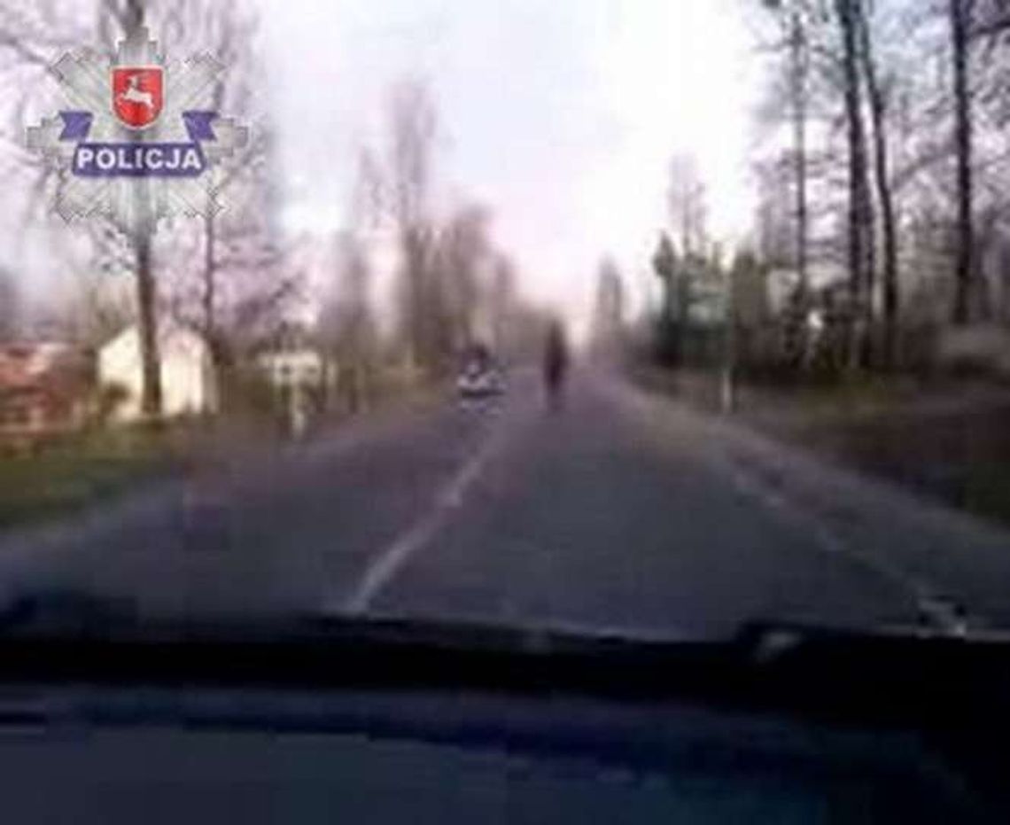 Galop środkiem drogi krajowej. Klacz złapana po pościgu Galop środkiem drogi krajowej. Klacz złapana po pościgu