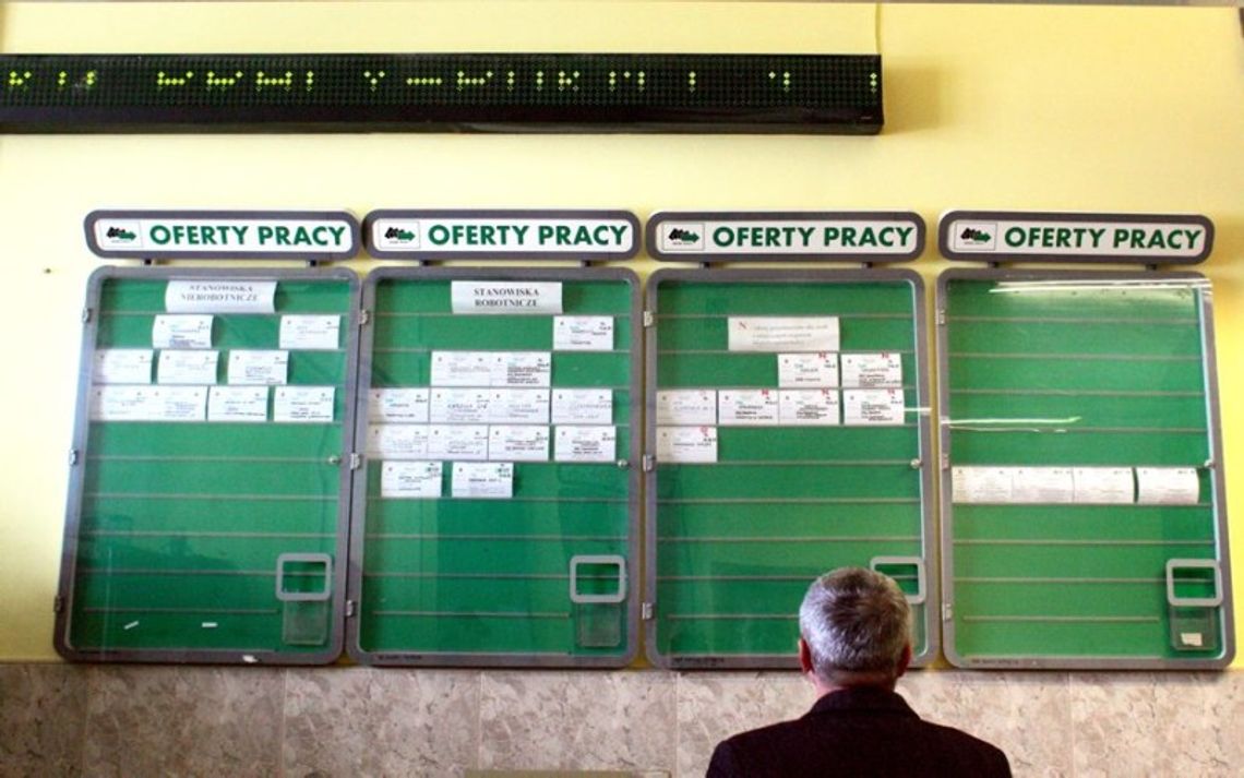 \"Gdy wpiszemy cały etat, zarobi pan mniej\", czyli jak szukałem pracy