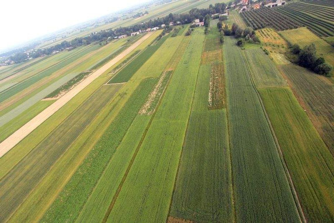 Gdzie są najatrakcyjniejsze działki w woj. lubelskim?