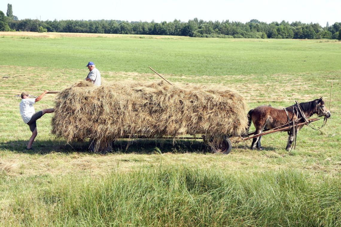 Gdzie spędzić weekend majowy: Propozycje agroturystyczne