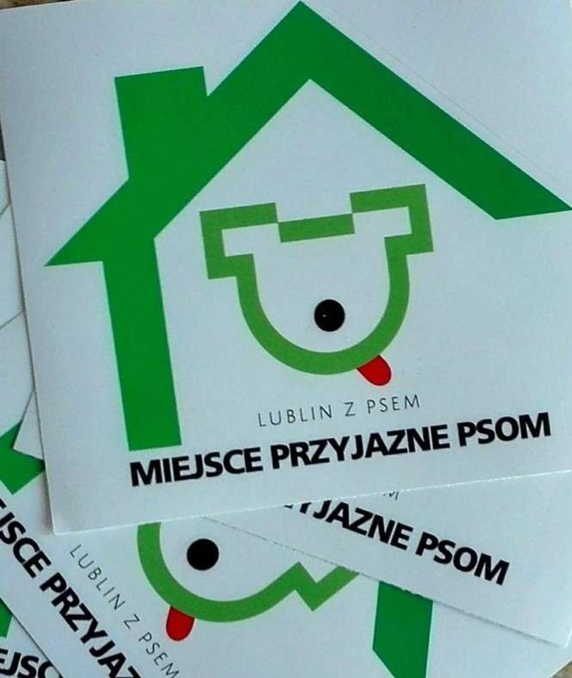 Gdzie w Lublinie można pójść z psem? Oznaczają miejsca