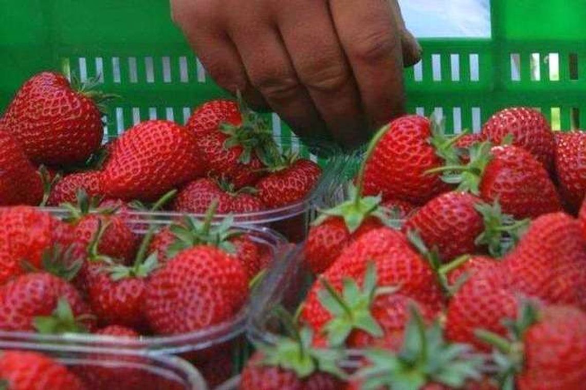 Gdzie zarobić w wakacje? Wysyp ofert pracy sezonowej Gdzie zarobić w wakacje? Wysyp ofert pracy sezonowej