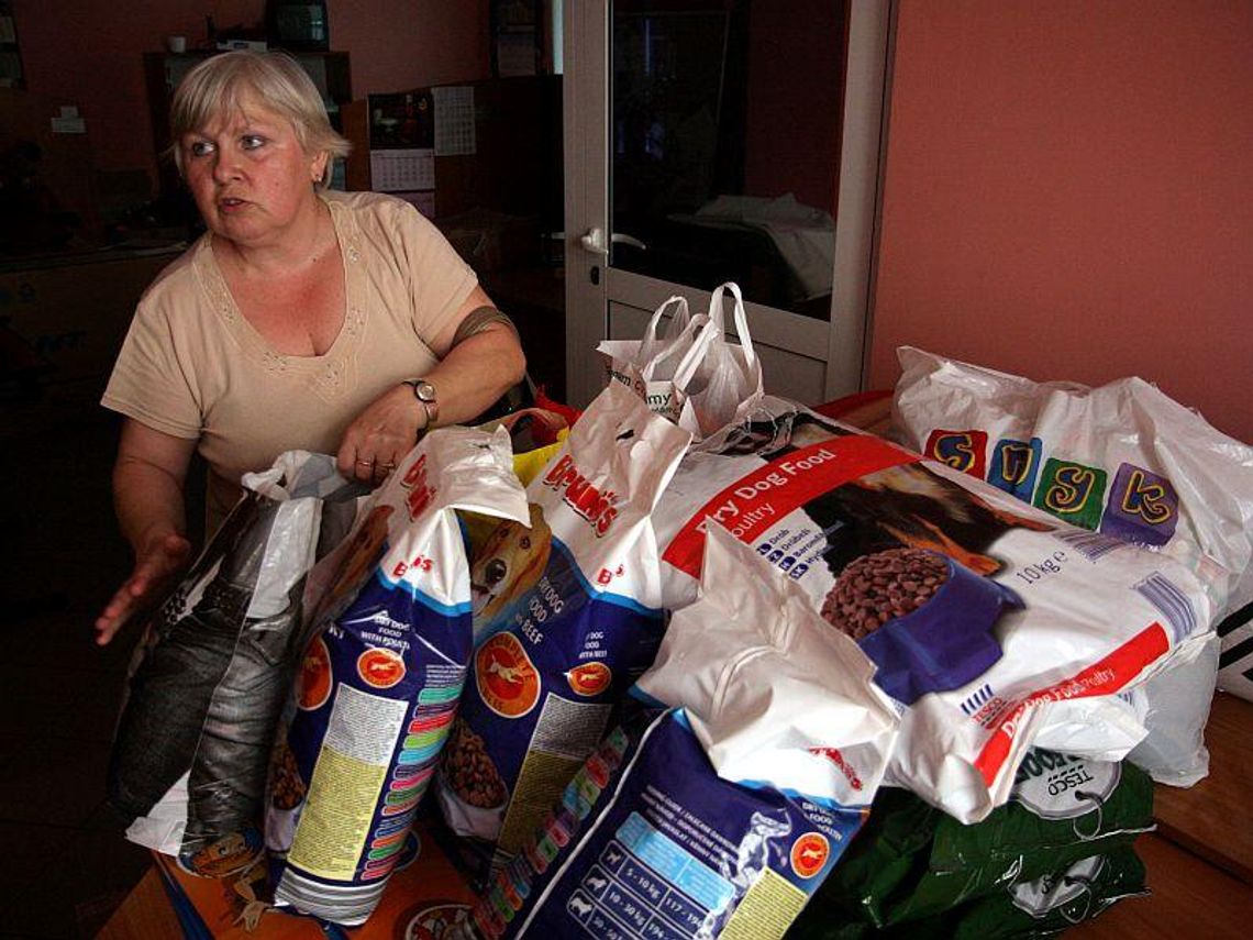 Gimnazjaliści z Lublina kupili karmę dla psów z Rachowa Starego Gimnazjaliści z Lublina kupili karmę dla psów z Rachowa Starego