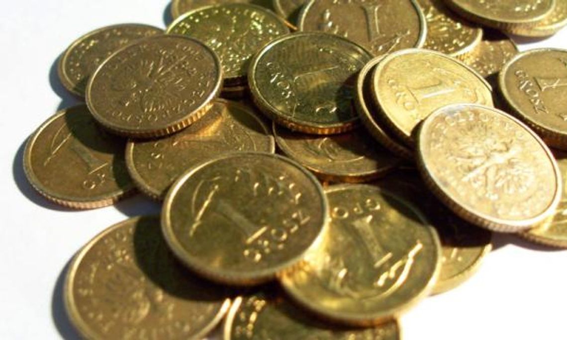 Gimnazjaliści z Zamościa zbierali grosiki