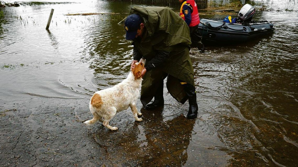 Głosy z zalanego Chersonia