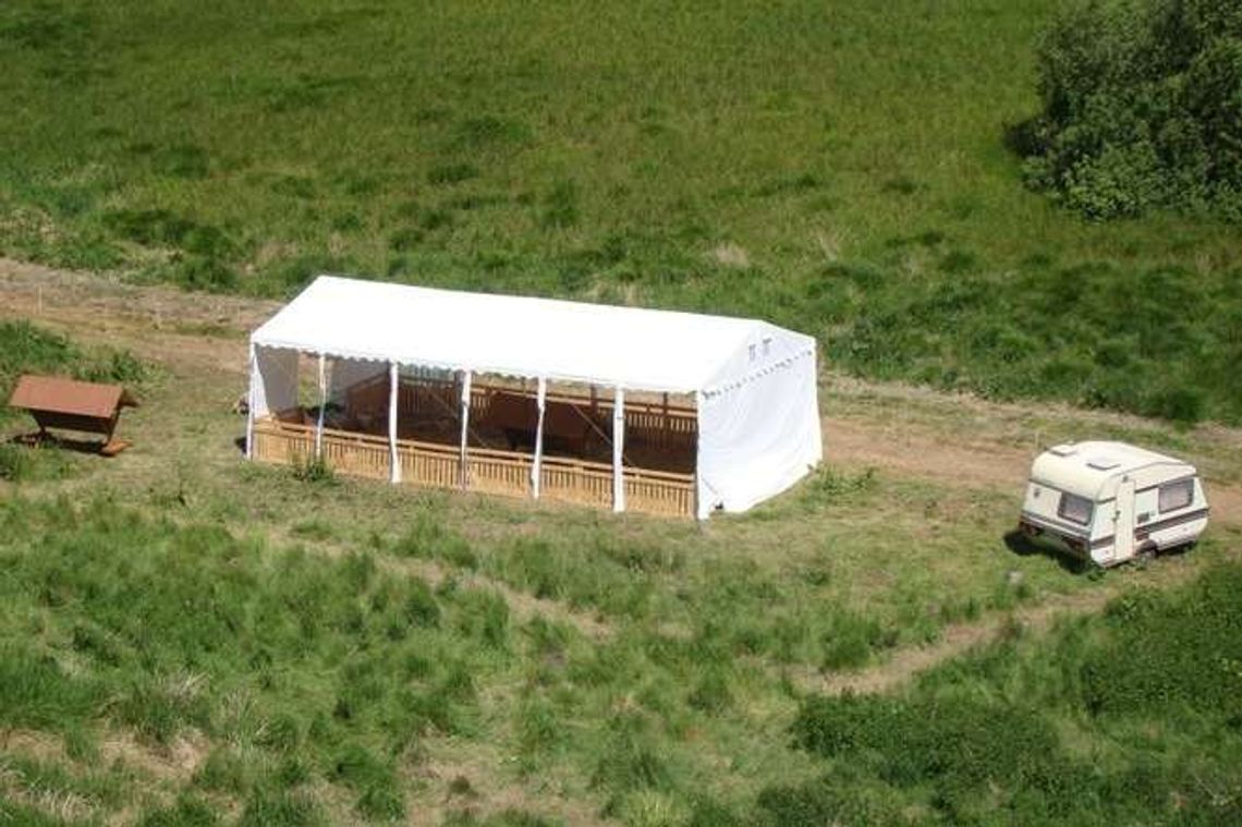 Gm. Hrubieszów: Owce na wypasie dla dobra przyrody Gm. Hrubieszów: Owce na wypasie dla dobra przyrody