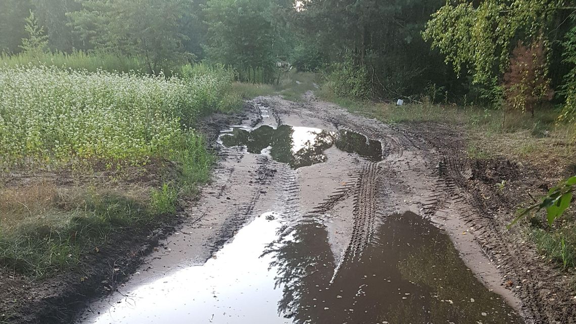 Gmina dostała rządową nagrodę. Wójt Karczmisk chciał tężni. Co na to radni?