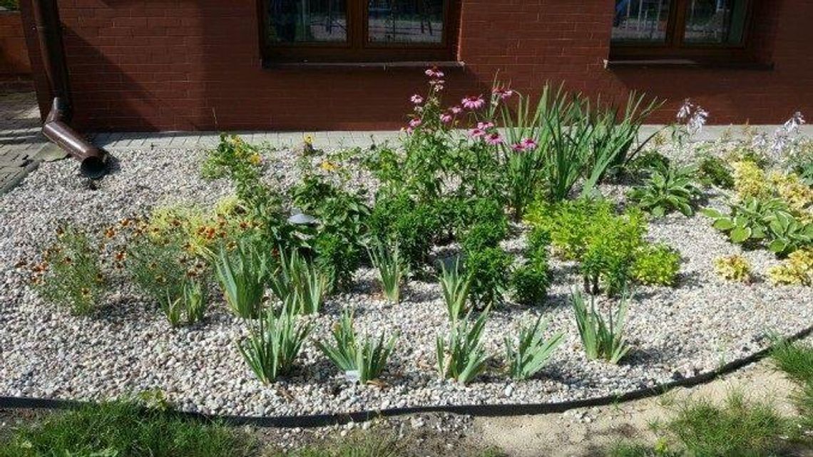 Gmina Łomazy nauczy jak dbać o wodę Gmina Łomazy nauczy jak dbać o wodę