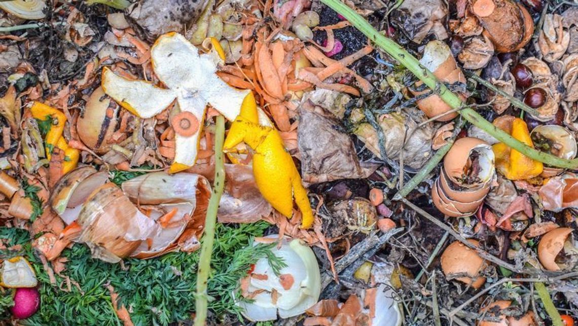 Gmina Łuków wyłapie śmieciowych lawirantów