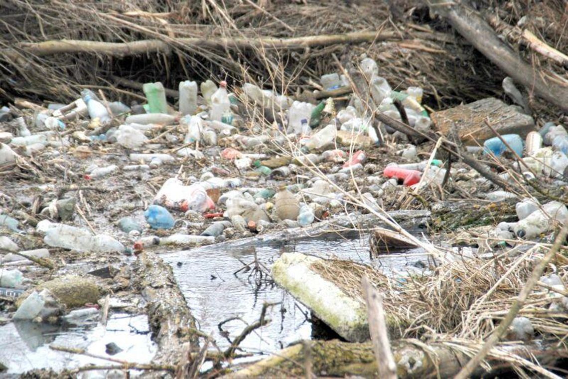 Gmina Wólka: Śmieci płyną Bystrzycą. Zator na rzece