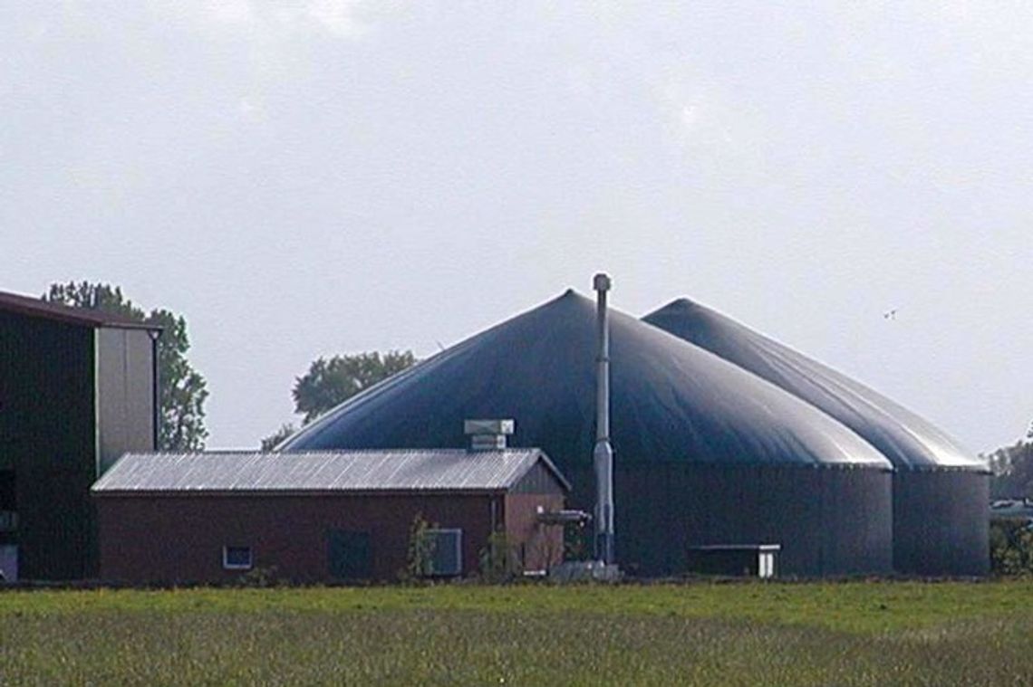 Gminy jeszcze poczekają na tańszy prąd