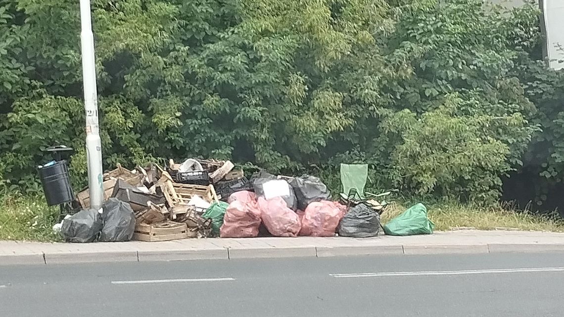 Góra śmieci przy al. Warszawskiej