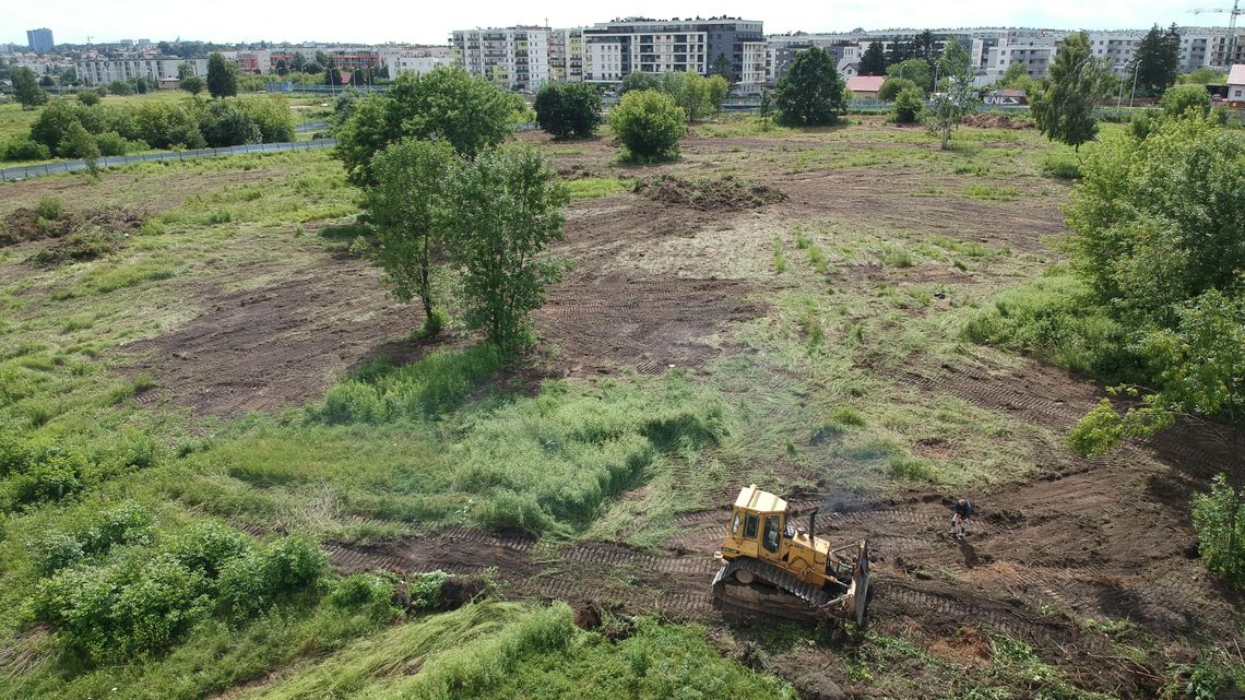 Górki czechowskie. Urzędnicy od przyrody mówią, czy koszenie szkodzi chomikom