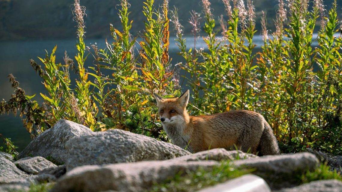 Górski chillout. Jak spędzić leniwy weekend w Bukowinie Tatrzańskiej? Górski chillout. Jak spędzić leniwy weekend w Bukowinie Tatrzańskiej?