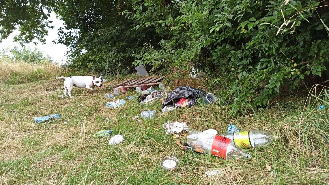 Góry śmieci w centrum Lublina. Posprzątają, ale nie wszystko