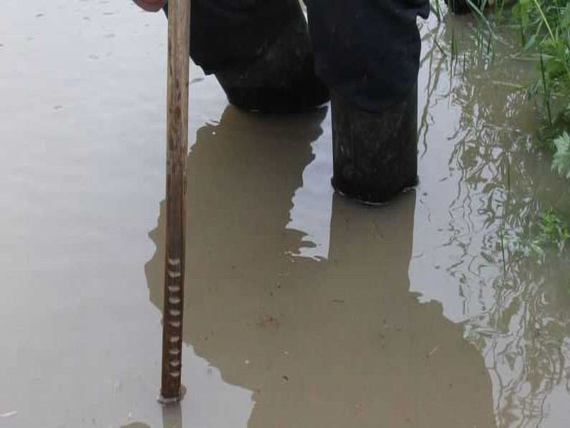 Gospodarstwa pod wodą. Strażacy interweniują na Lubelszczyźnie