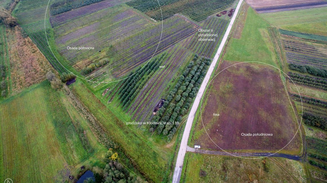 Groch i bobik sprzed tysiąca lat. Archeolodzy będą mieli co robić