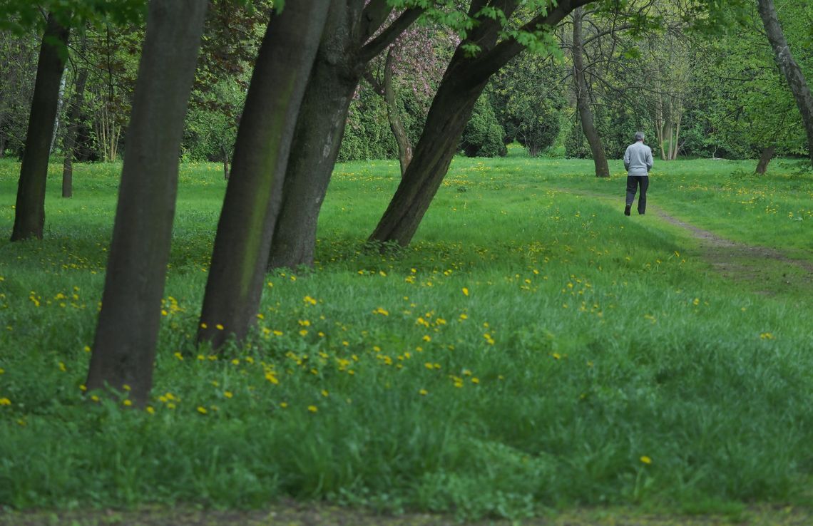 Groźna choroba czai się w trawie Groźna choroba czai się w trawie
