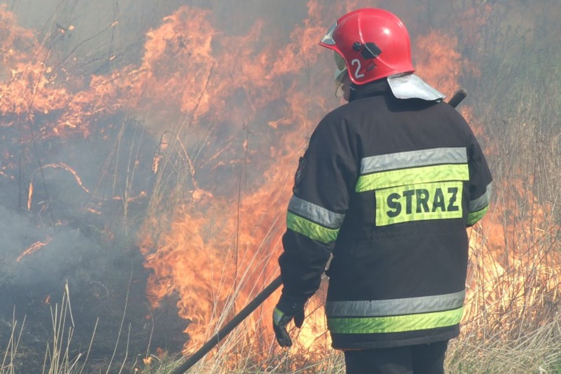 Groźne pożary suchych traw. Mężczyzna poparzony