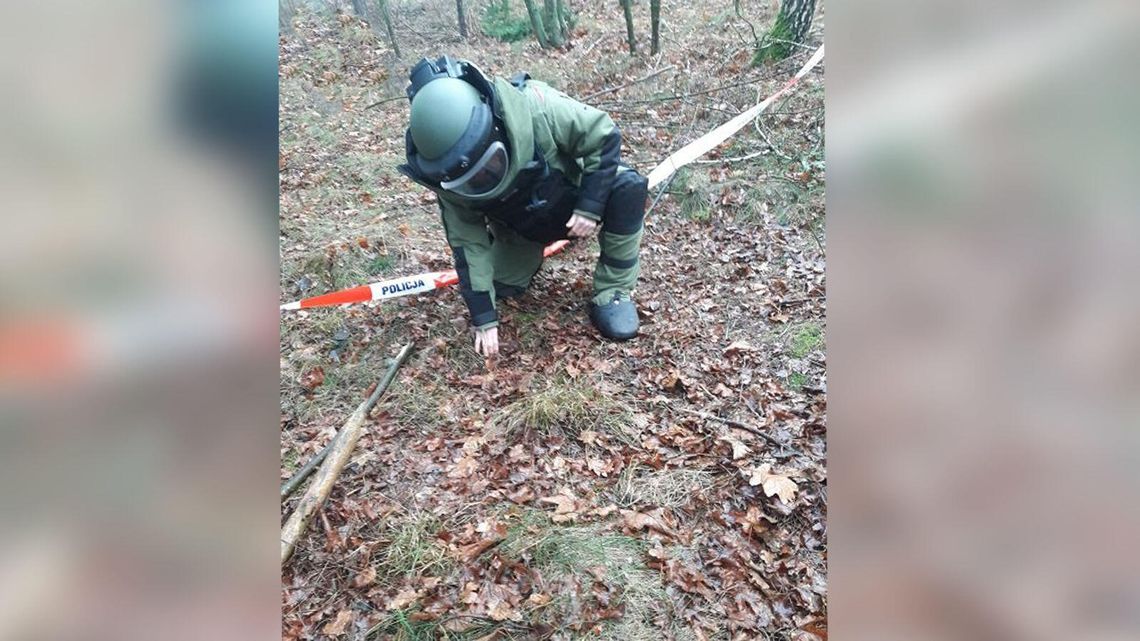 Groźne znalezisko w lesie. Musieli przyjechać saperzy Groźne znalezisko w lesie. Musieli przyjechać saperzy