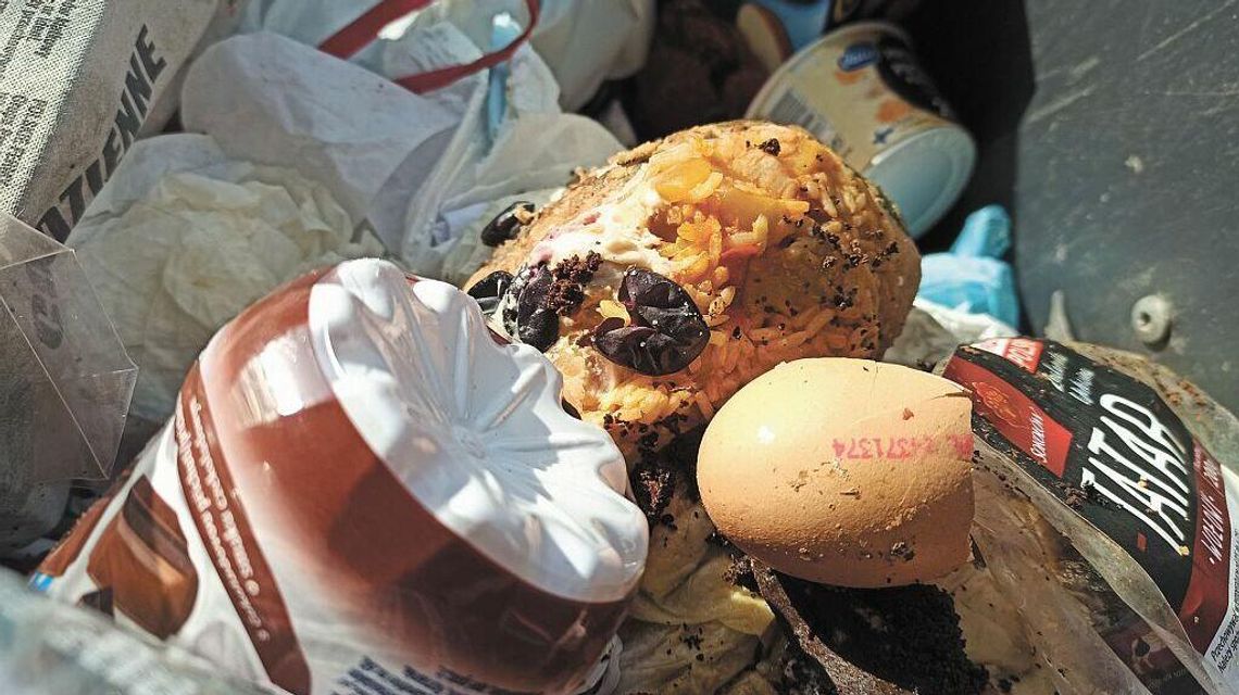 Grzebiemy w śmietniku w Lublinie, a tam 52 złote. Raport o marnowaniu jedzenia Grzebiemy w śmietniku w Lublinie, a tam 52 złote. Raport o marnowaniu jedzenia