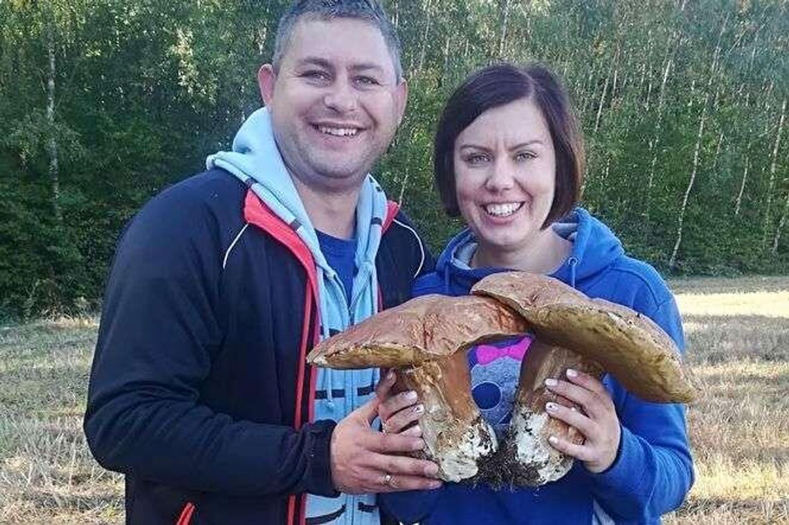 Grzybobranie życia: Te dwa prawdziwki "z daleka wyglądały jak drzewa"