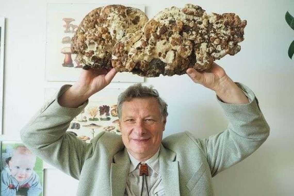 Grzybowe fakty i mity. Jakich grzybów szukać, których unikać? Rozmowa z prof. UMCS Grzybowe fakty i mity. Jakich grzybów szukać, których unikać? Rozmowa z prof. UMCS