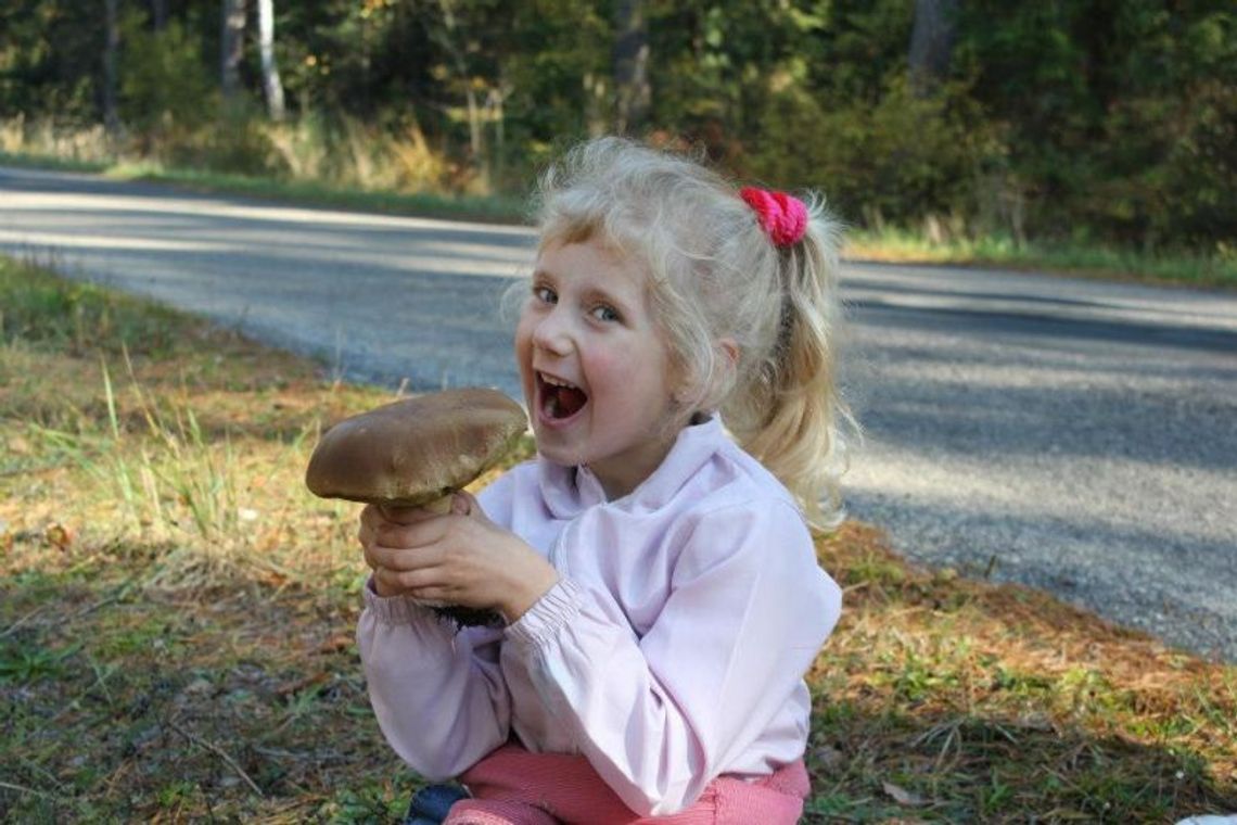 Grzyby w lasach pod Lublinem i w okolicach. Zdjęcia Czytelników