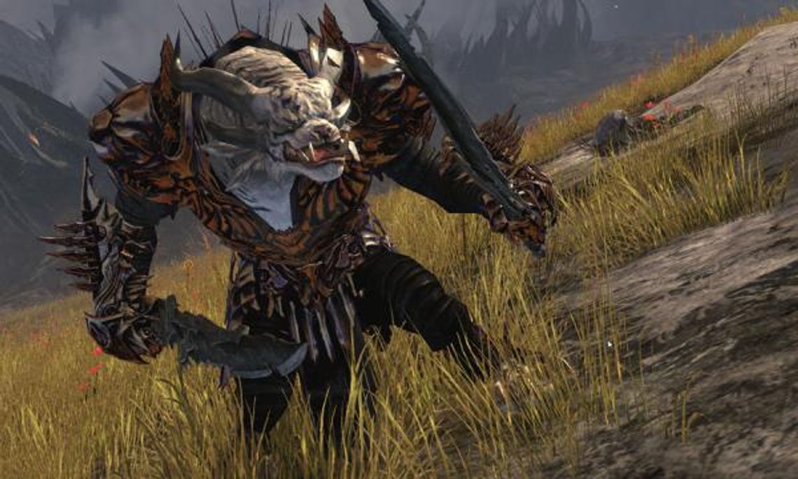 Guild Wars 2: Data premiery i beta weekend