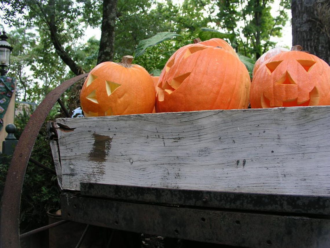 Halloween: Czekamy na Wasze zdjęcia