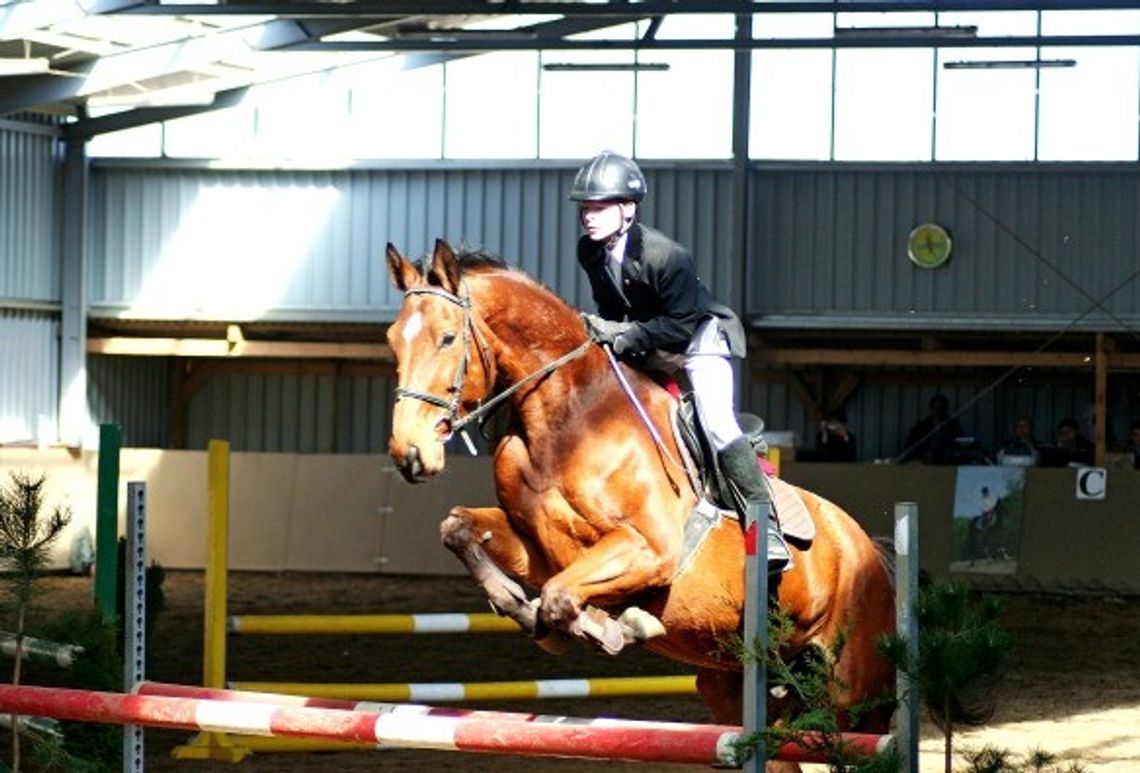  Halowe Zawody Regionalne w skokach przez przeszkody (zdjęcia)
