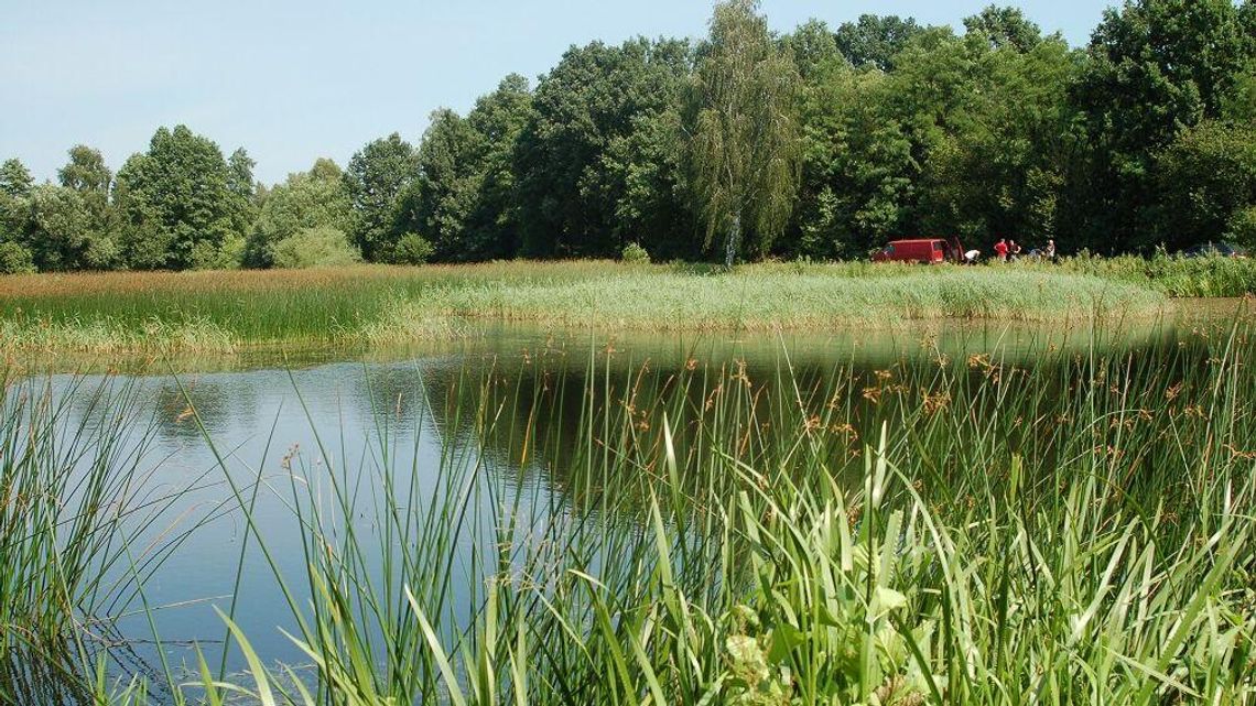 Hektary nad Klukówką czekają. Lasy Państwowe: Pierwszy krok należy do miasta 