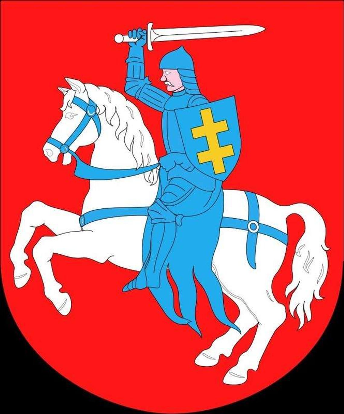 Herb to za mało. Powiat bialski chce mieć logo 