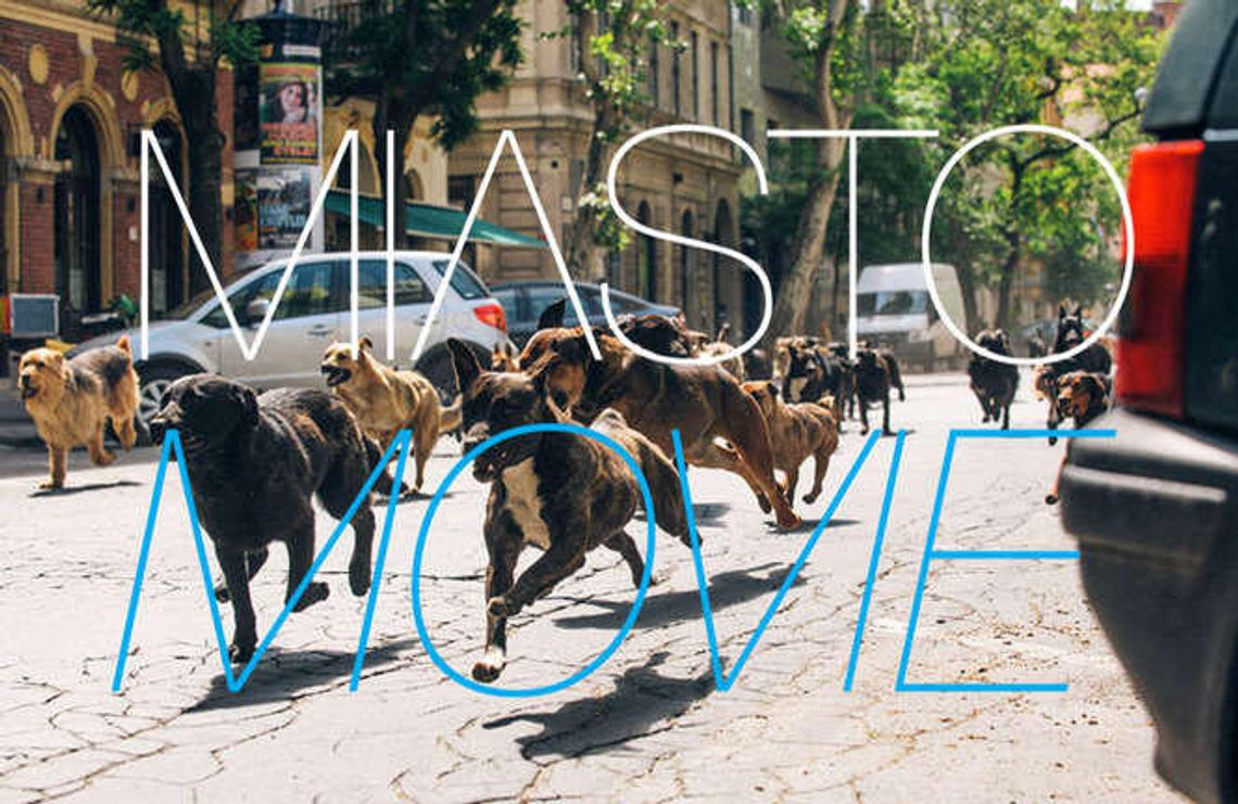 Hitchcock i inni, czyli Miato Movie w lutym (program)