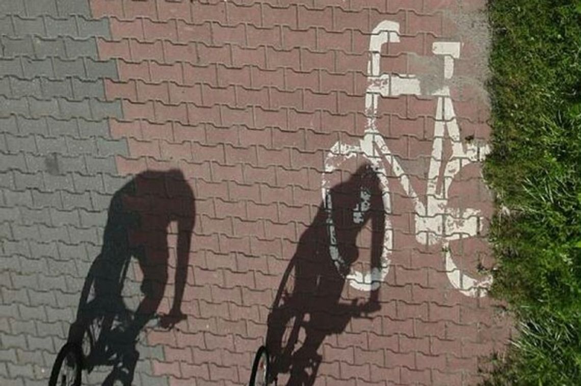 Hity i kity tygodnia. Ścieżka z bajerami i groźny kontakt z kulturą Hity i kity tygodnia. Ścieżka z bajerami i groźny kontakt z kulturą