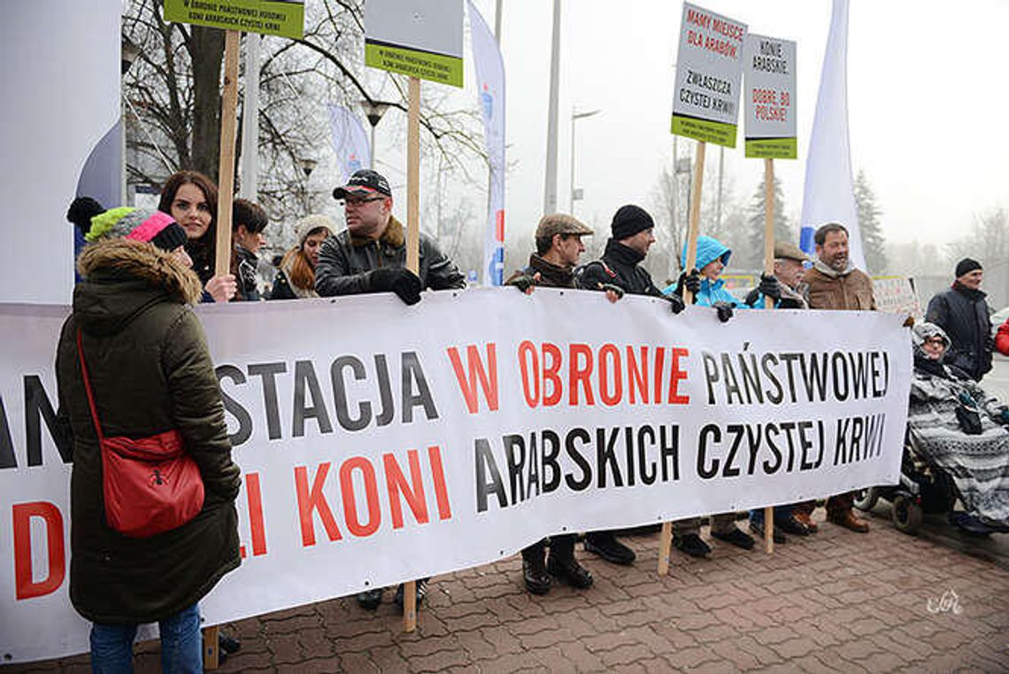 Hodowcy koni przed Torwarem. Protest i petycja ws. przywrócenia odwołanych prezesów Hodowcy koni przed Torwarem. Protest i petycja ws. przywrócenia odwołanych prezesów