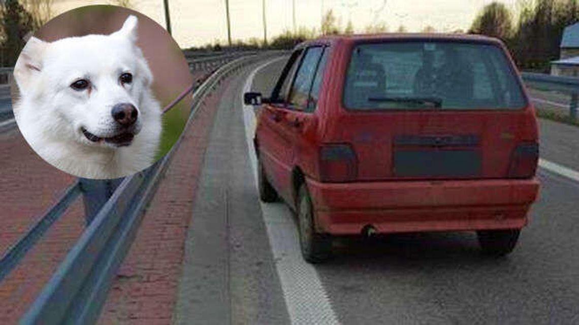 Holował psa za samochodem, usłyszał wyrok Holował psa za samochodem, usłyszał wyrok