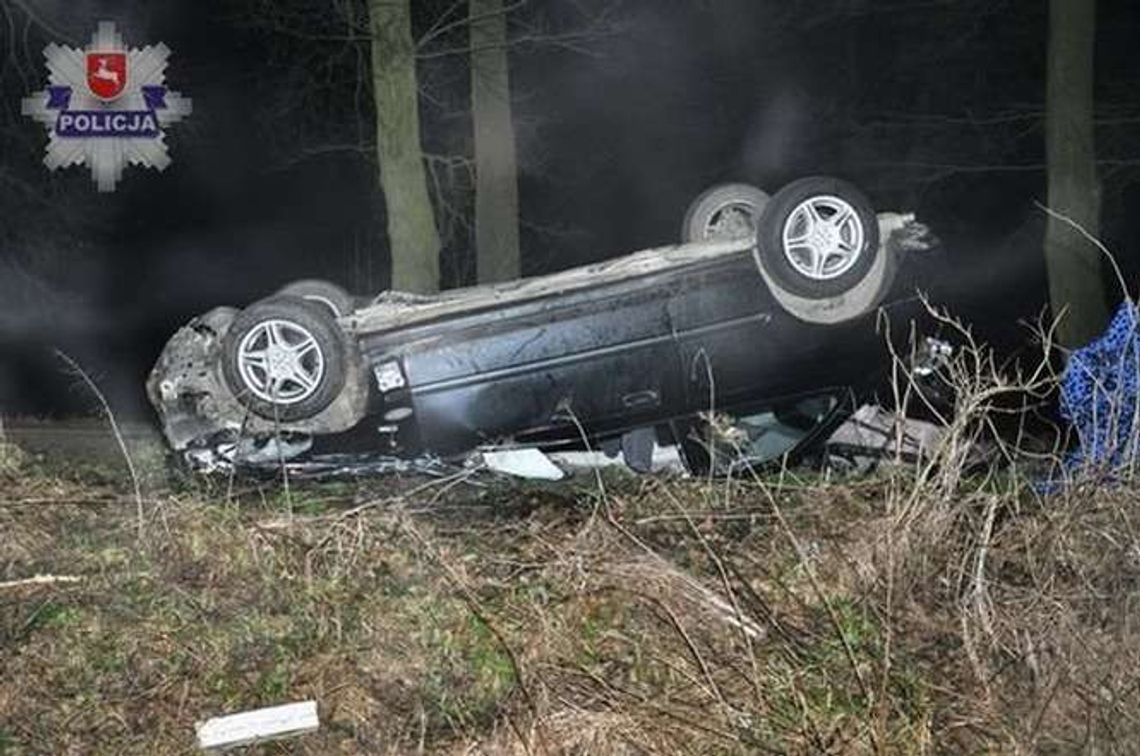 Honda zatrzymała się na drzewie, a mitsubishi na słupie. Kierowcy pijani