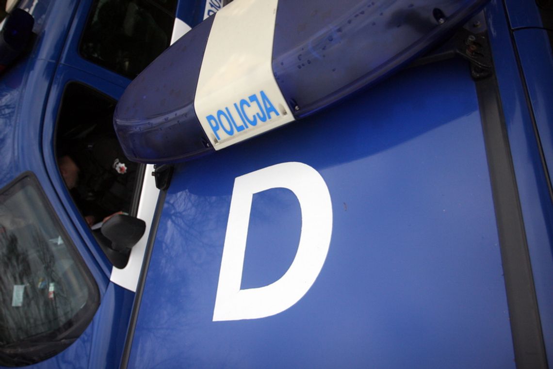 Horbów Kolonia: Uderzył passatem w drzewo i zginął