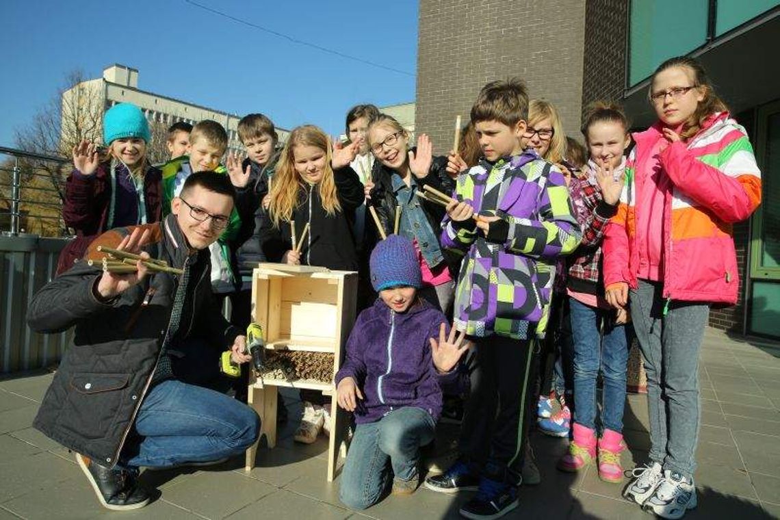 Hotel dla pszczół na tarasie biblioteki Uniwersytetu Przyrodniczego