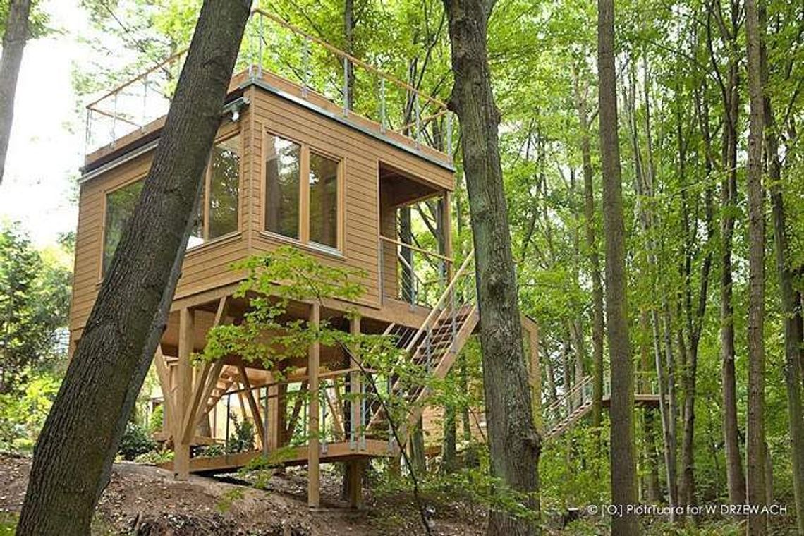 "Hotel w Drzewach z nagrodą za oryginalne wnętrza