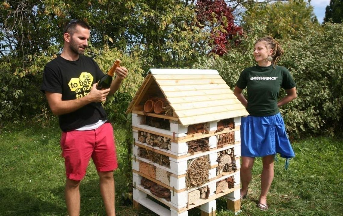 Hotele dla pszczół także w Lublinie Hotele dla pszczół także w Lublinie