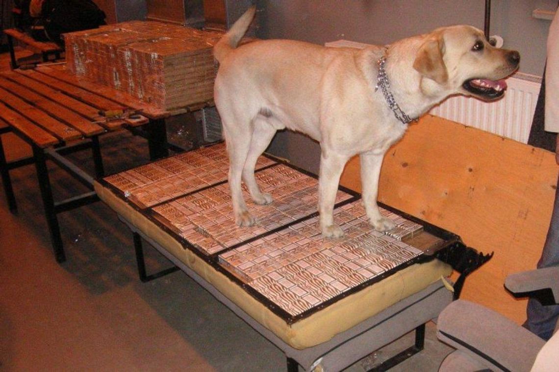 Hrebenne: Pies wywąchał kontrabandę