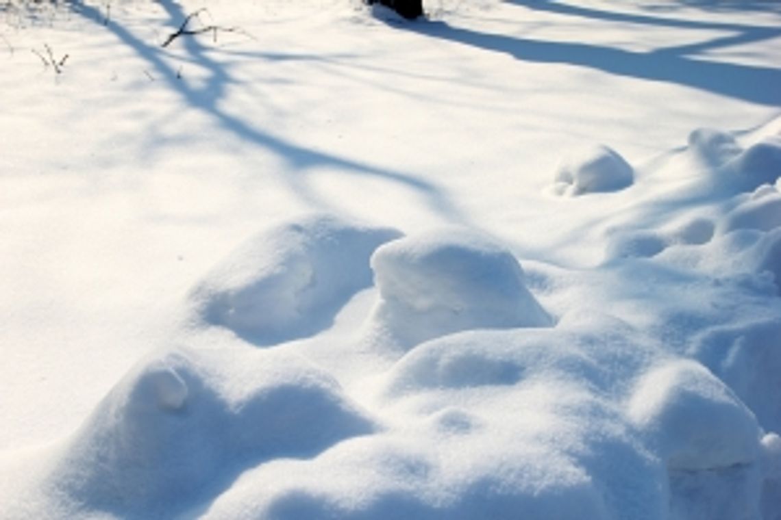 Hrubieszów: Kompletnie pijany spał na śniegu. Omal nie zamarzł