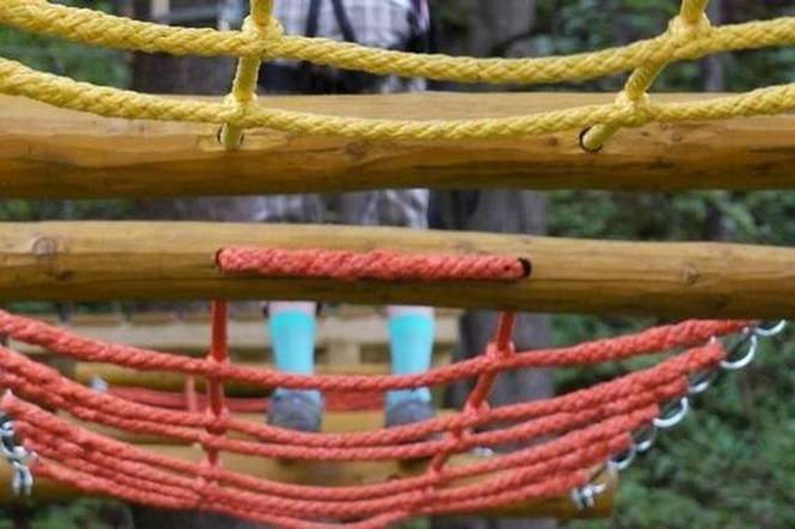 Hrubieszów: Zbudują park linowy Hrubieszów: Zbudują park linowy