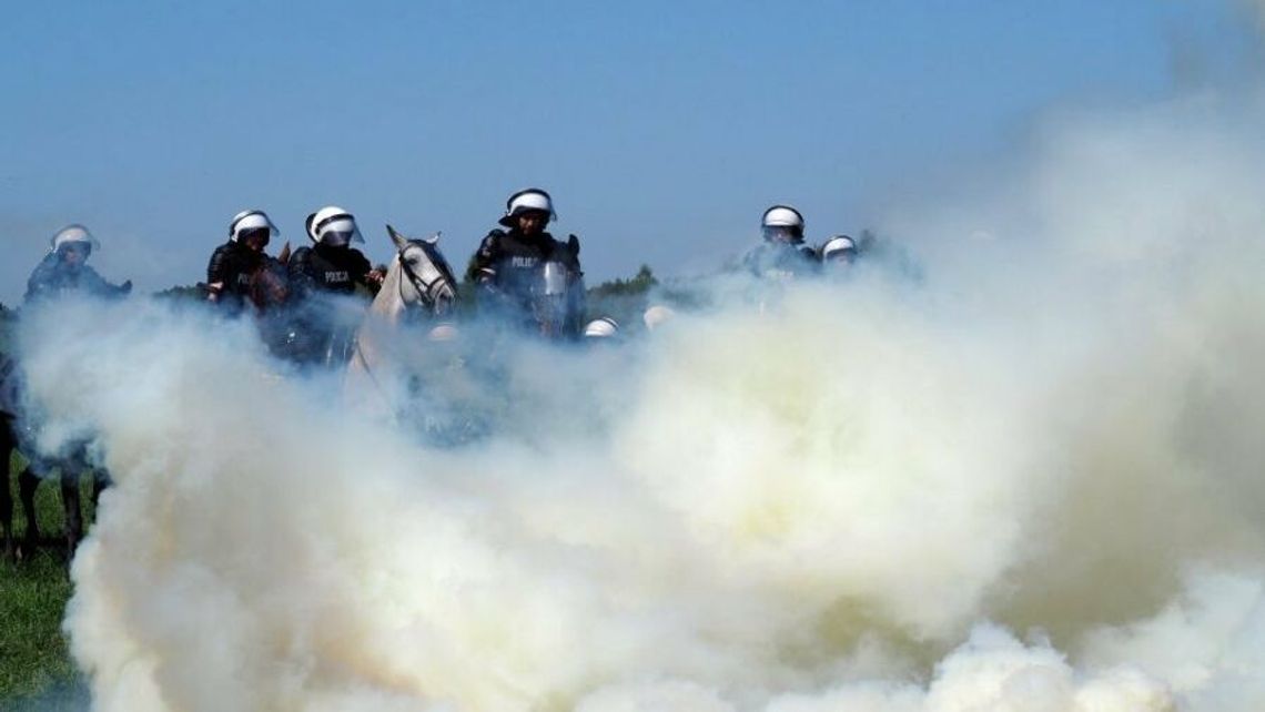 Huk, dym, strzały. Tak się egzaminuje policyjne konie [zdjęcia]