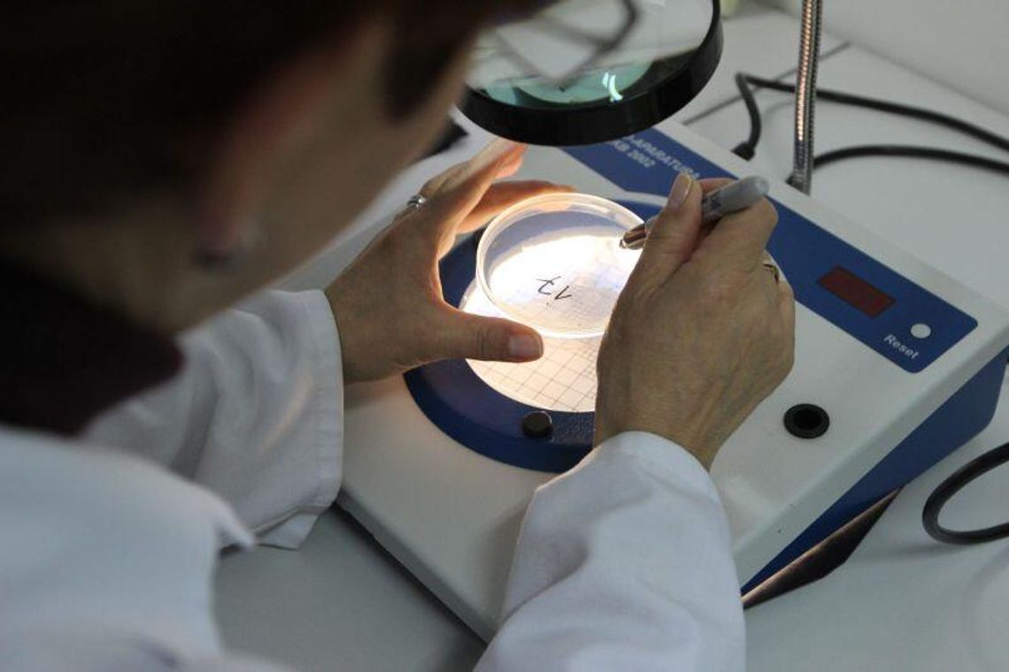 Hurtownia pełna przeterminowanej żywności. Prokuratura przyjrzy się sprawie