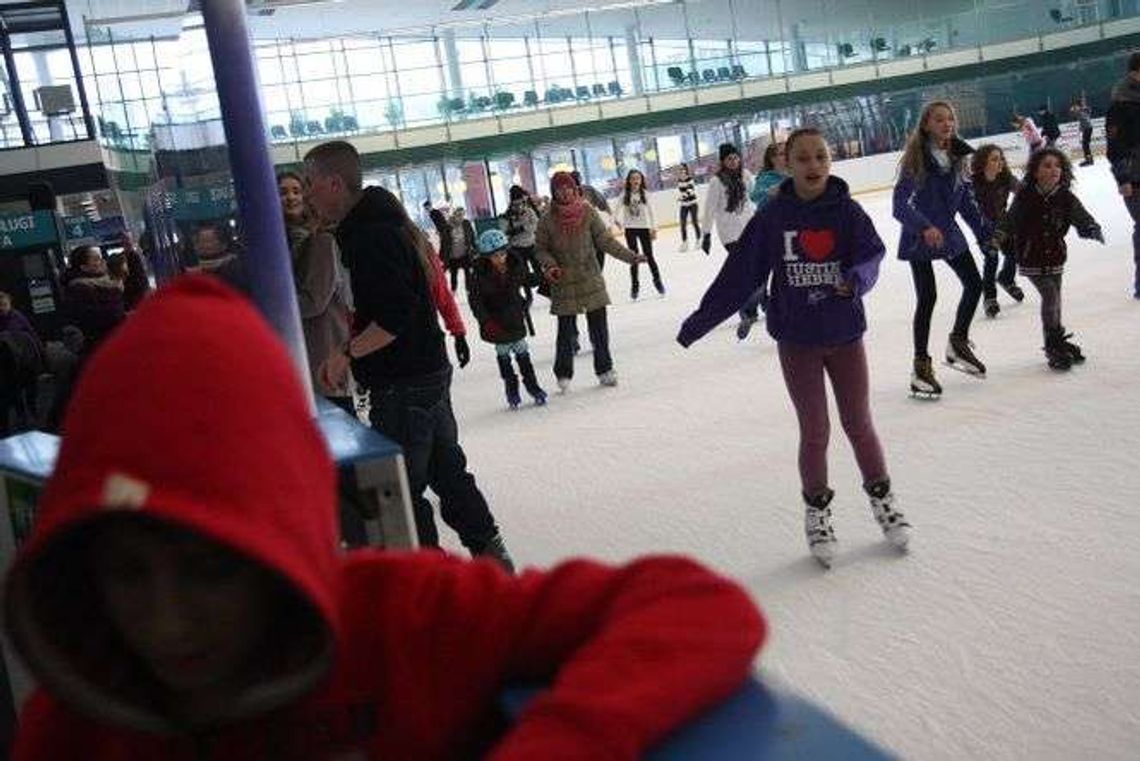 Icemania rusza za niecałe trzy tygodnie. Jakie będą ceny? Icemania rusza za niecałe trzy tygodnie. Jakie będą ceny?
