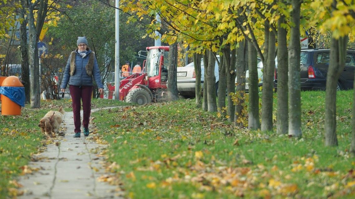 Idzie spore ochłodzenie. Będzie też padało i wiało