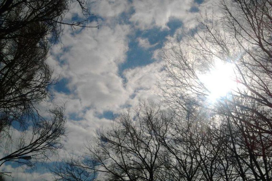 Idzie wiosna. Poniedziałek słoneczny i na plusie